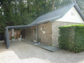 vakantie woning Dilserbos